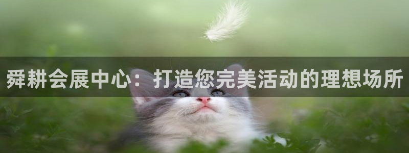 果博客服电话哪里找啊