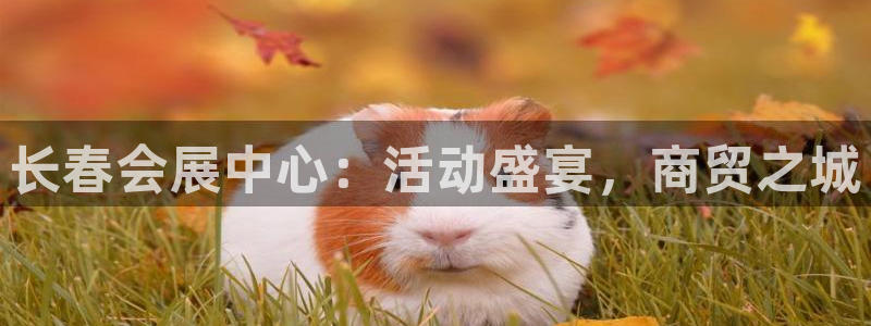 果博app官网下载