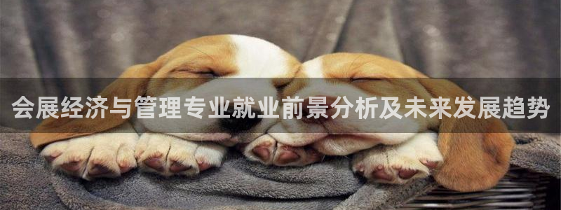 果博手机版官方下载：会展经济与管理专业就