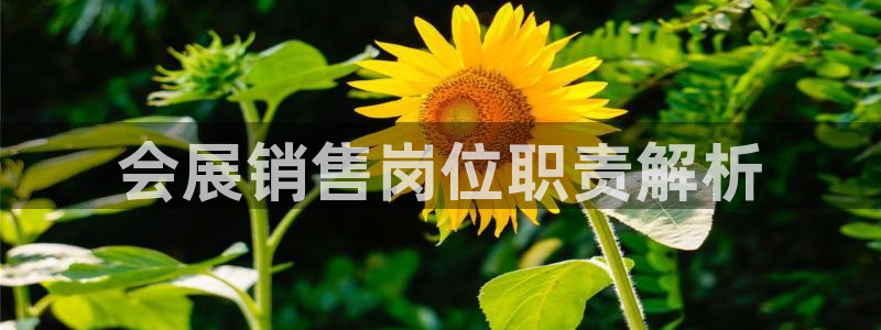 果博怎么注册账号：会展销售岗位职责解析