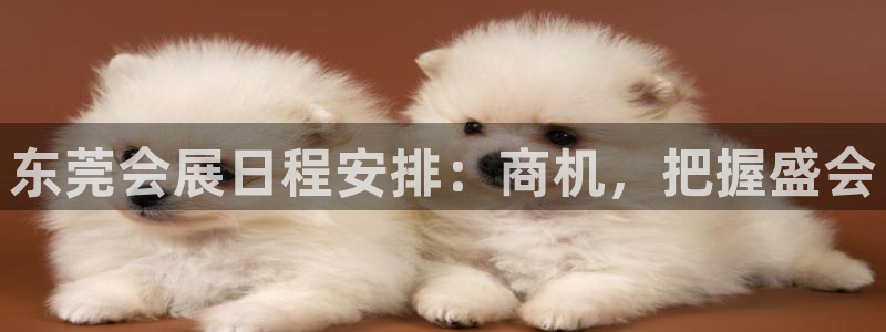 果博注册客服电话号码：东莞会展日程安排：商机，把握