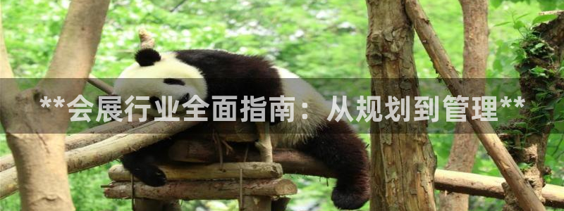 果博注册电话：**会展行业全面指南：从规划到管理**