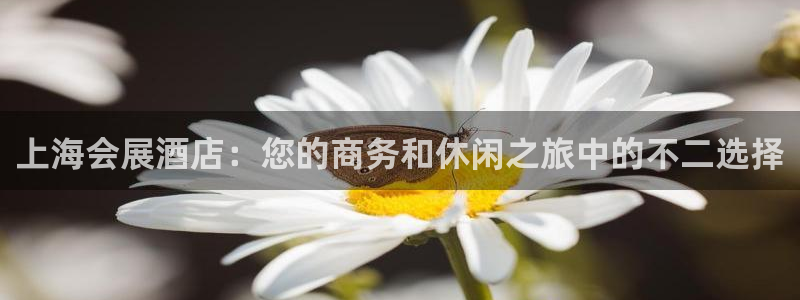 果博平台真实吗安全吗可信吗安全吗：上海会