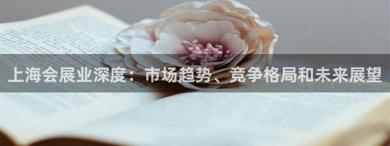 苹果电脑可以下载博易大师吗：上海会展业深度：市场趋势、竞争格局和未来展望