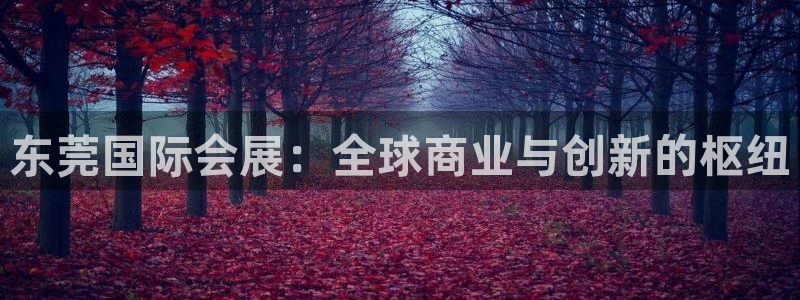 果博注册充值怎么充：东莞国际会展：全球商