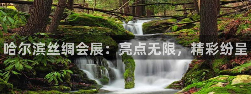 果博东官方网站怎么下载：哈尔滨丝绸会展：