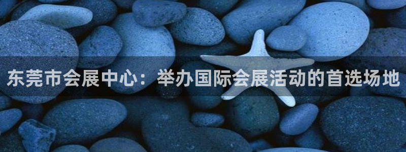 果搏代理：东莞市会展中心：举办国际会展活