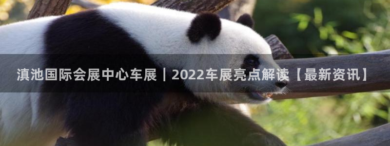 果博公司开户