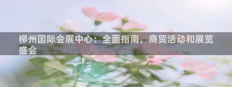 果博账号注册要钱吗：柳州国际会展中心：全