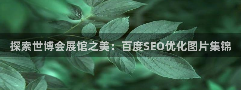 果博公司客服微信公众号：探索世博会展馆之